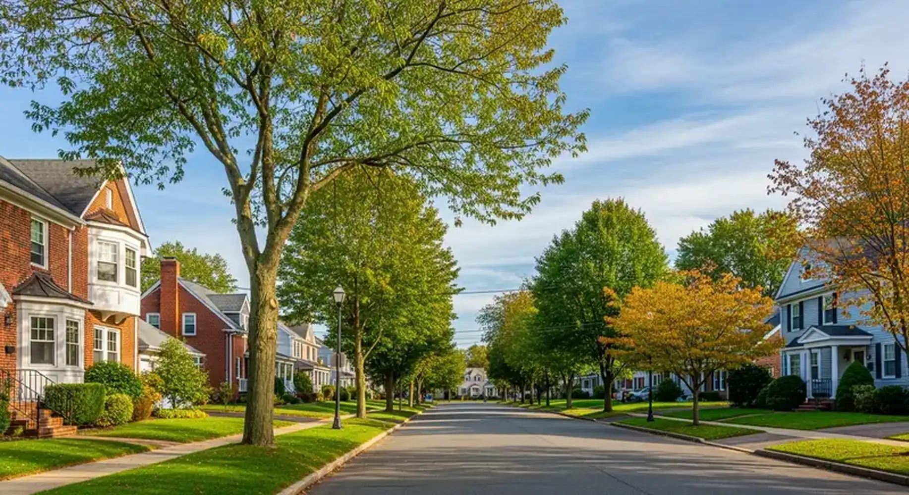 Chesterfield neighborhood street with mature trees and homes